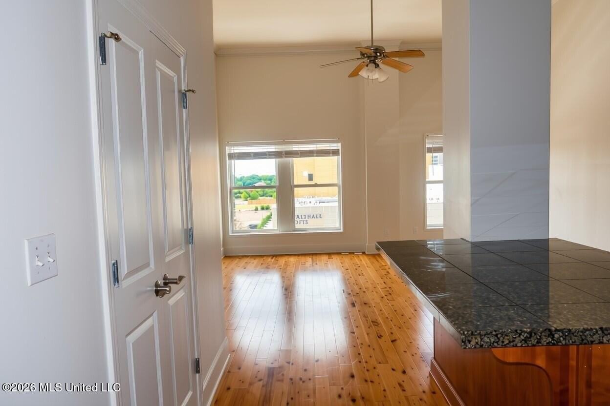 308 E Pearl St Apt 1002 - Photo 4 of 11