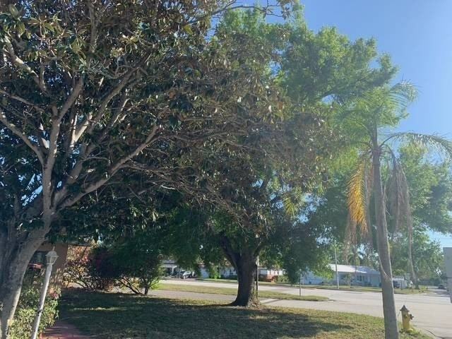 1781 Tyrone Blvd N - Photo 3 of 29