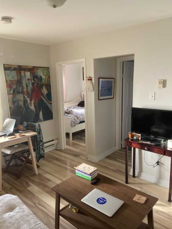381 Waverley Street 4 - Photo 4 of 12