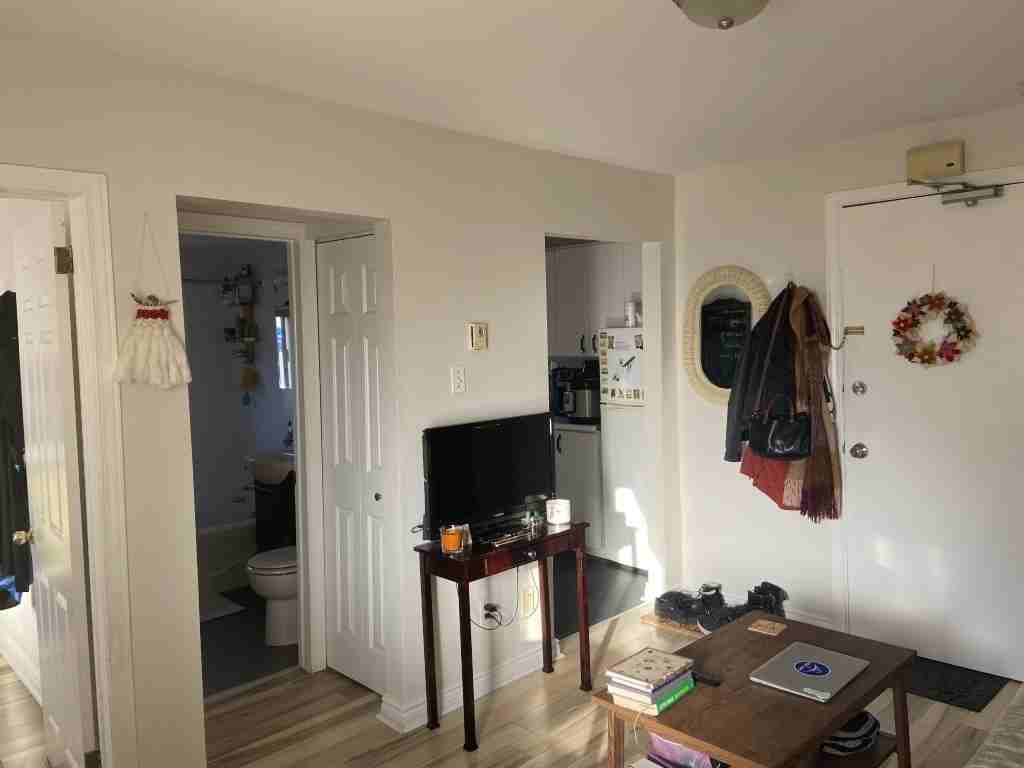 381 Waverley Street 4 - Photo 5 of 12