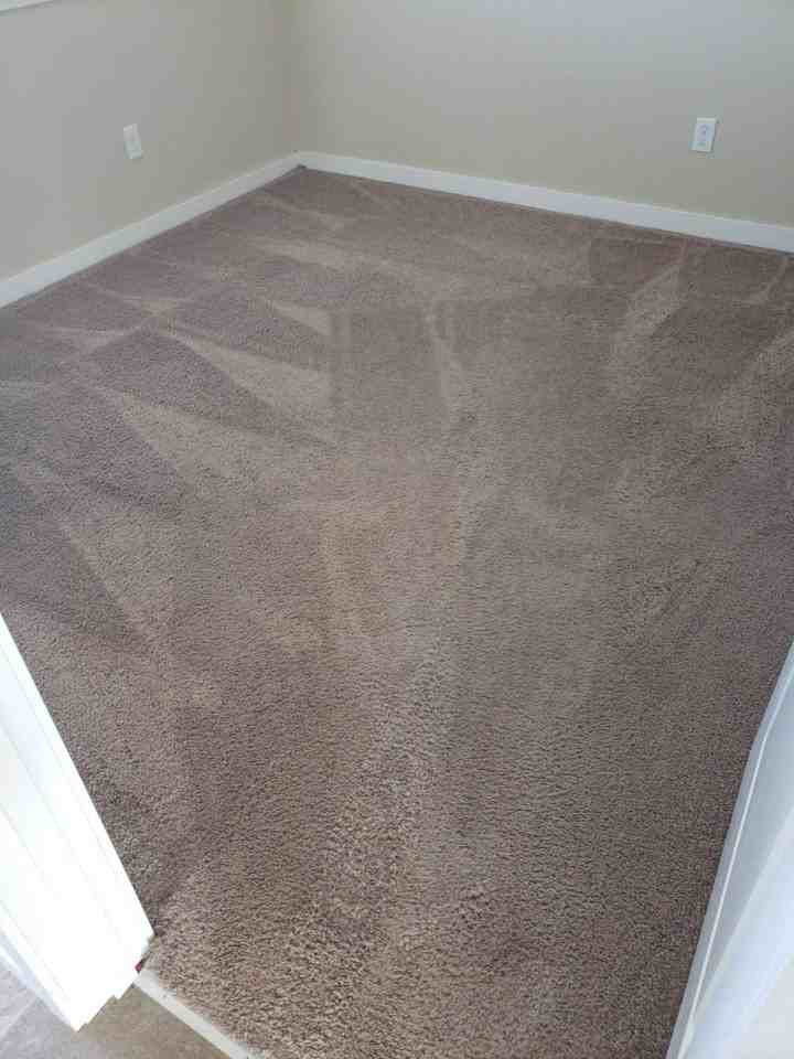 3319 Galena Ln #101 - Photo 5 of 9