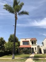 featured image of 1841 S 8th St #NONE