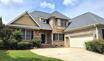 featured image of 217 Asheton Lakes Way