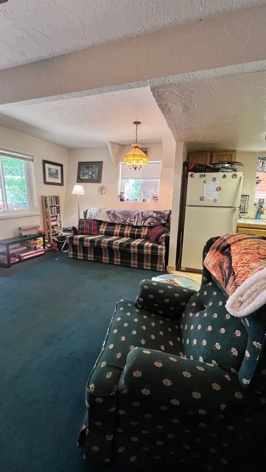 10117 Washoe Rd - Photo 3 of 14