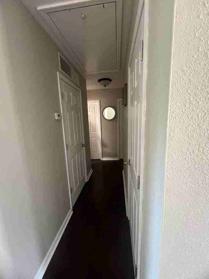 2529 Lewis Ln - Photo 3 of 12