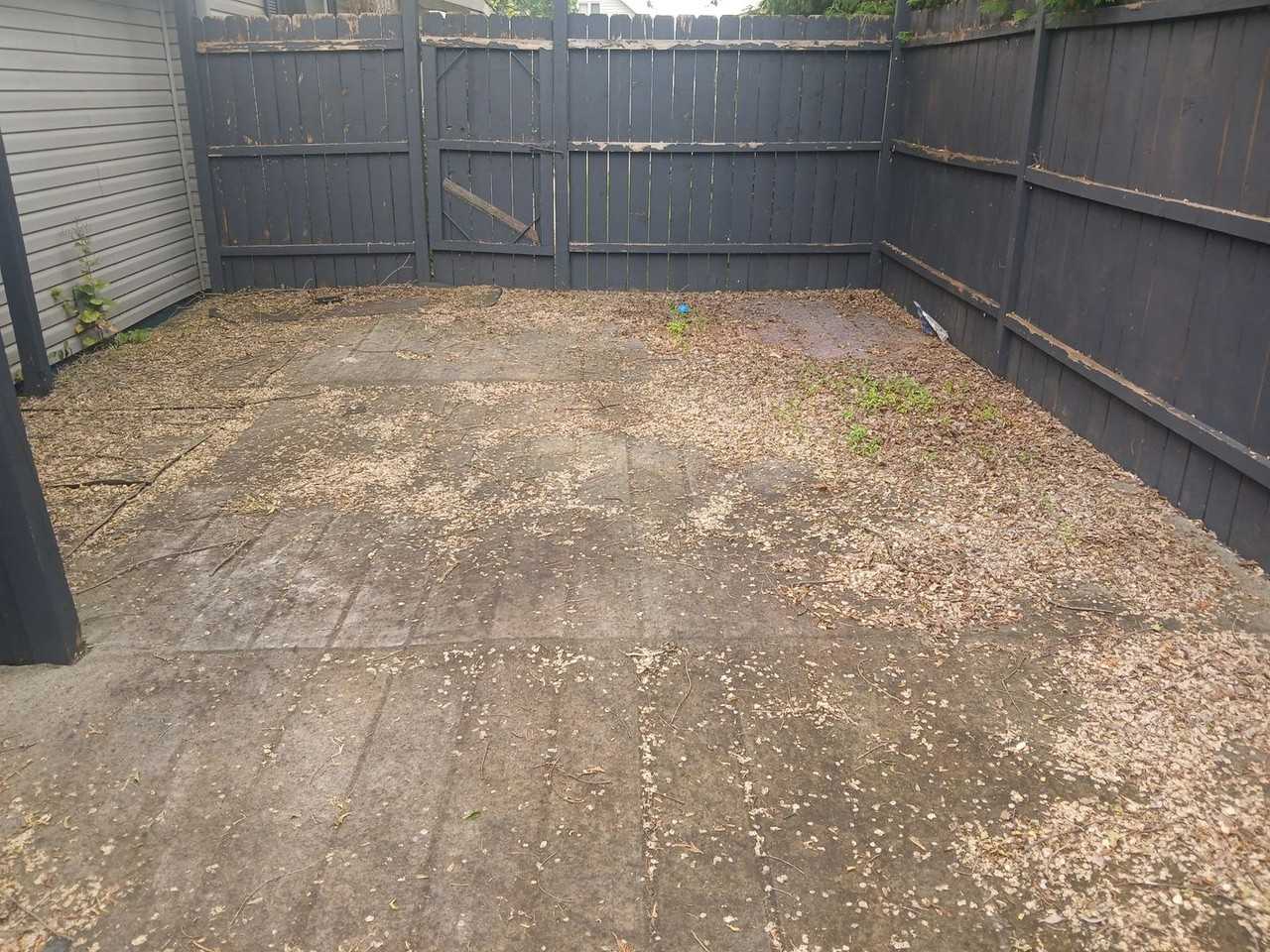814 Parnell St - Photo 3 of 26