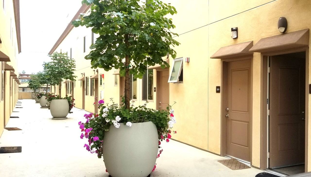 Burbank Plaza Townhomes - Photo 5 of 19