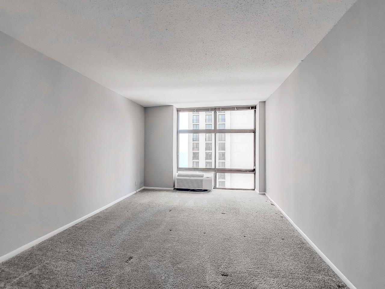 E Division St & N Lake Shore Dr ##17C - Photo 4 of 17
