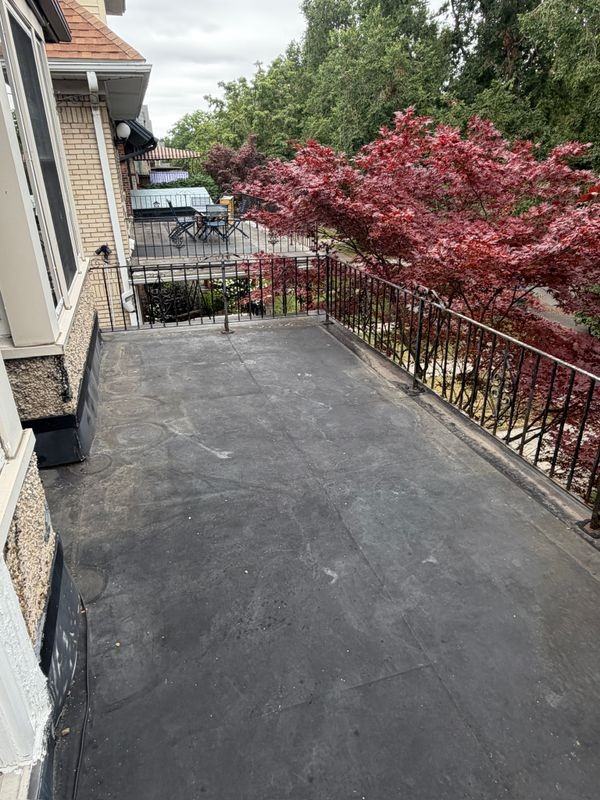 542 Richmond Ave - Photo 5 of 28