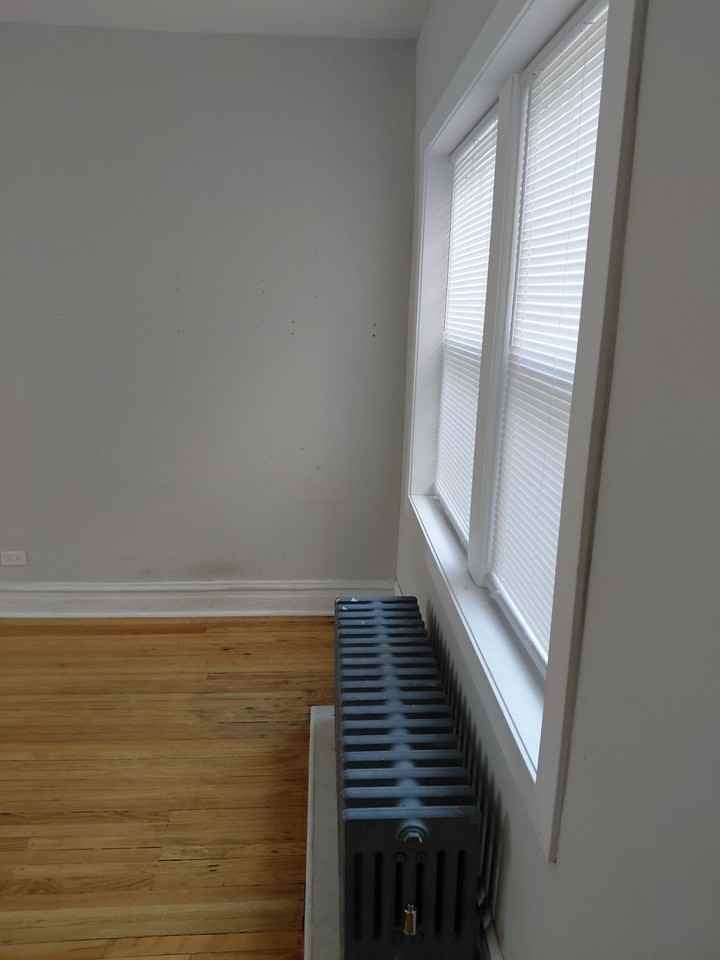 1924 W 78th St #2N - Photo 2 of 8