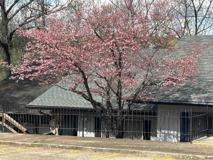 16 Akokisa Dr - Photo 1 of 1