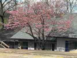 featured image of 16 Akokisa Dr