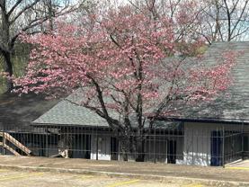 16 Akokisa Dr - Photo 1 of 1