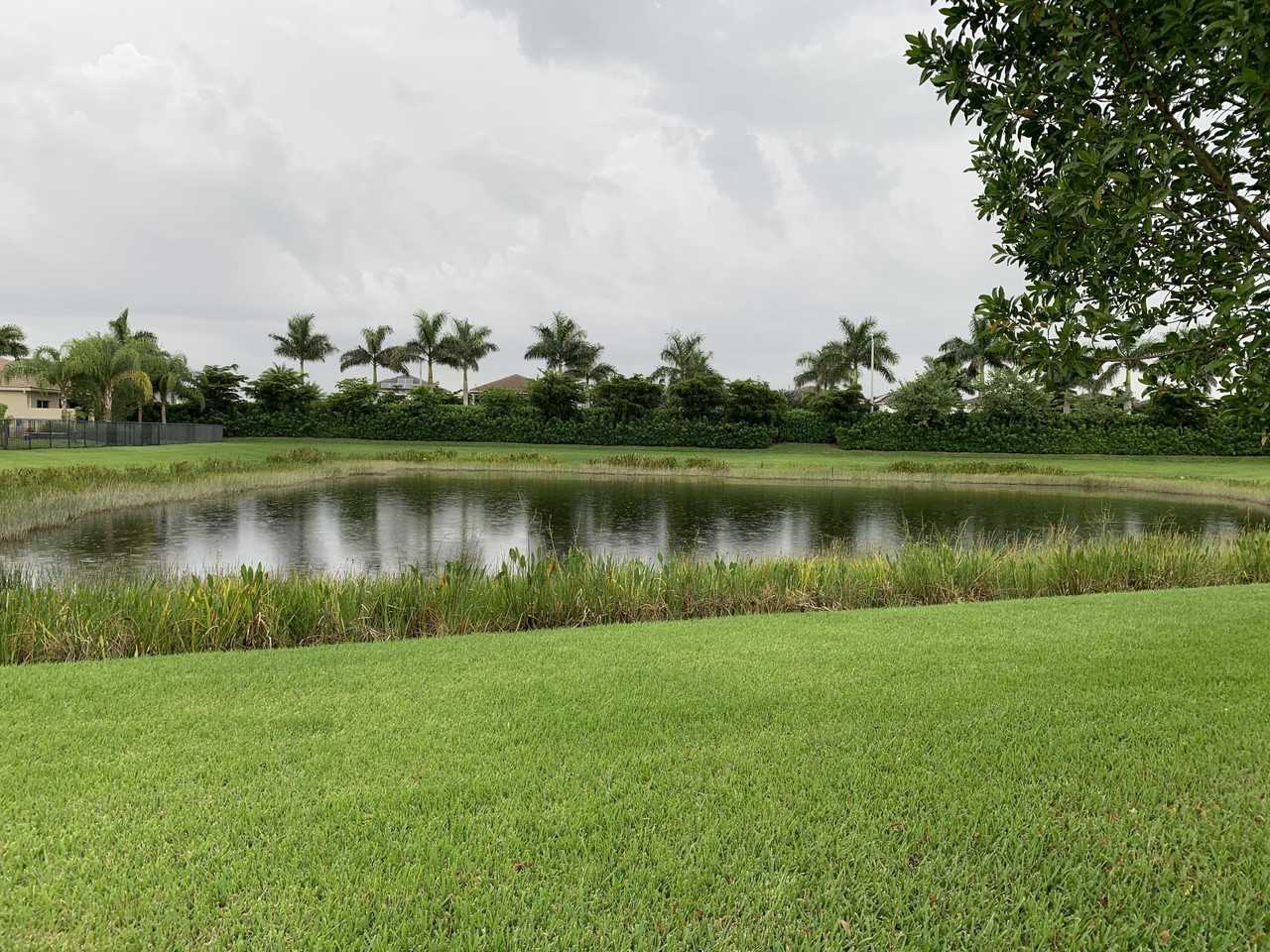 9754 Celtic Sea Ln - Photo 3 of 50