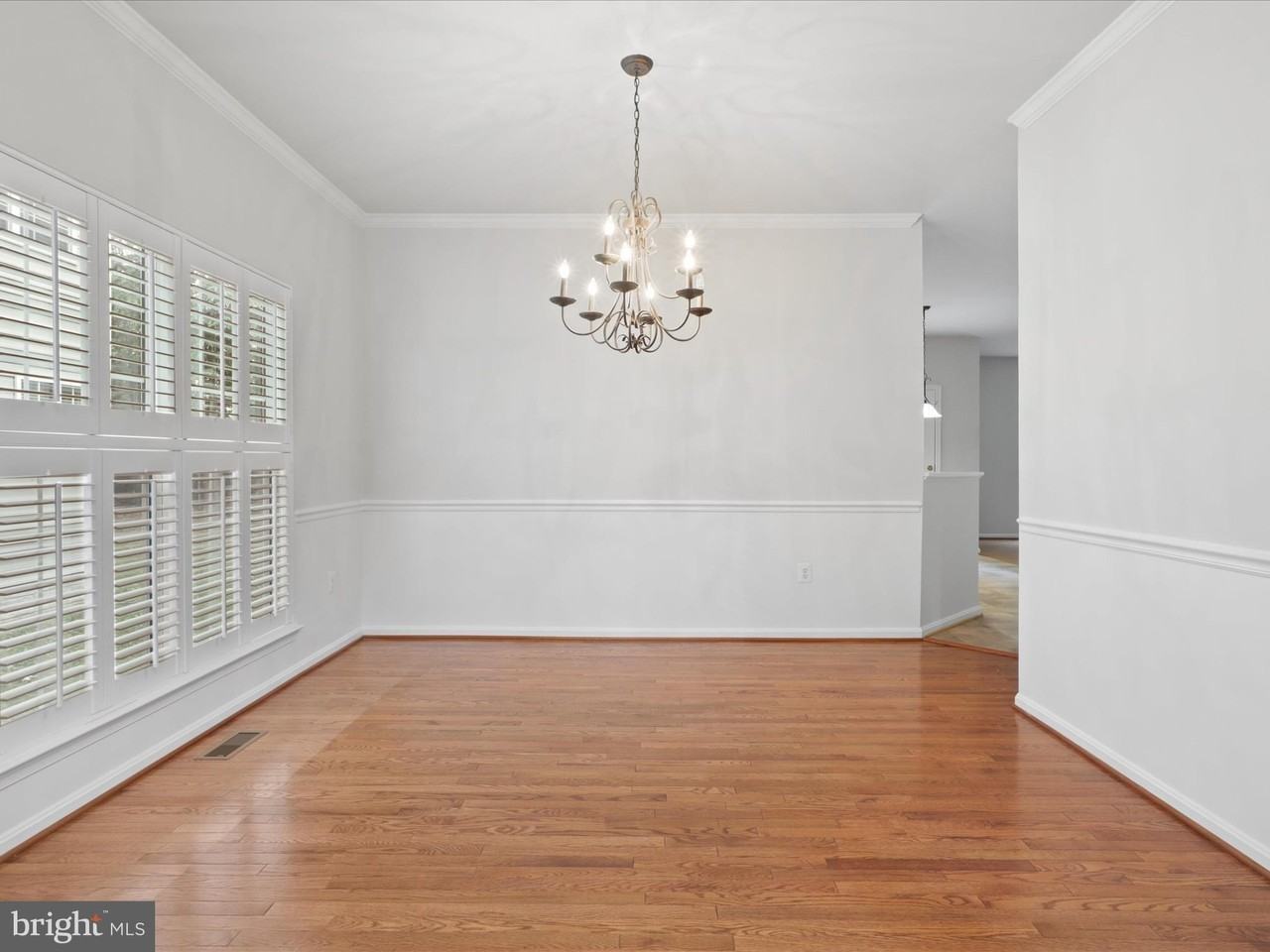 14203 Murphy Ter - Photo 7 of 50
