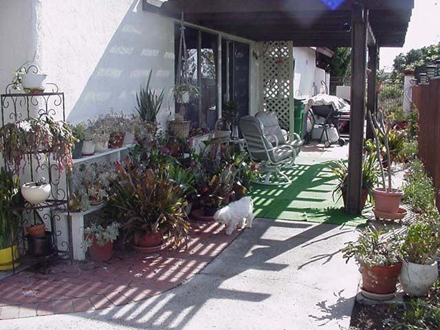 22292 Oropel - Photo 6 of 8