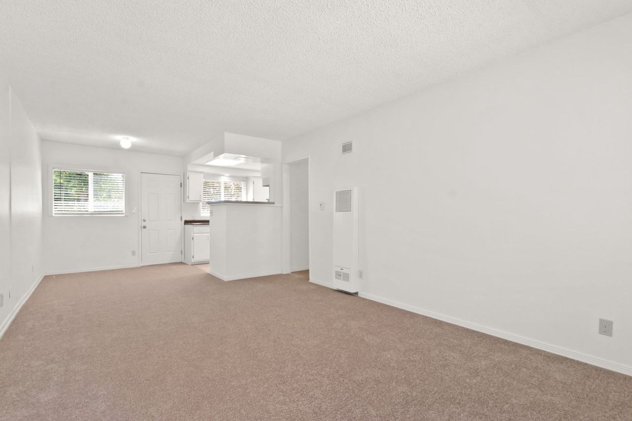 732 N Euclid St - Photo 6 of 14