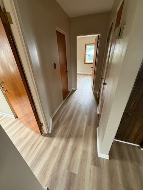 24728 Carlysle St #NA - Photo 3 of 13