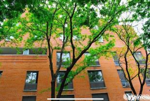 270 W 22nd St #2 - Photo 1 of 1