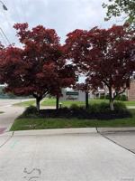 featured image of 38129 Jamestown Dr
