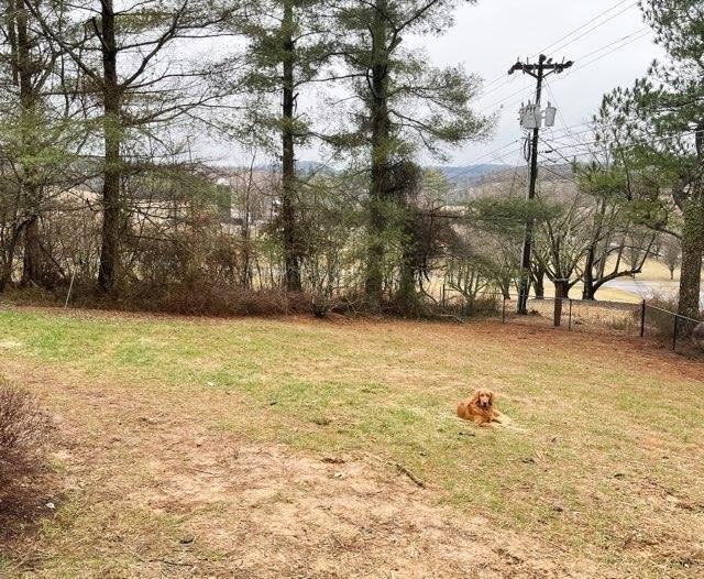 126 Blakemore Mill Rd #1