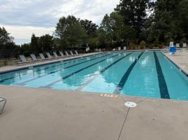 featured image of 403 Yellow Fox Rd