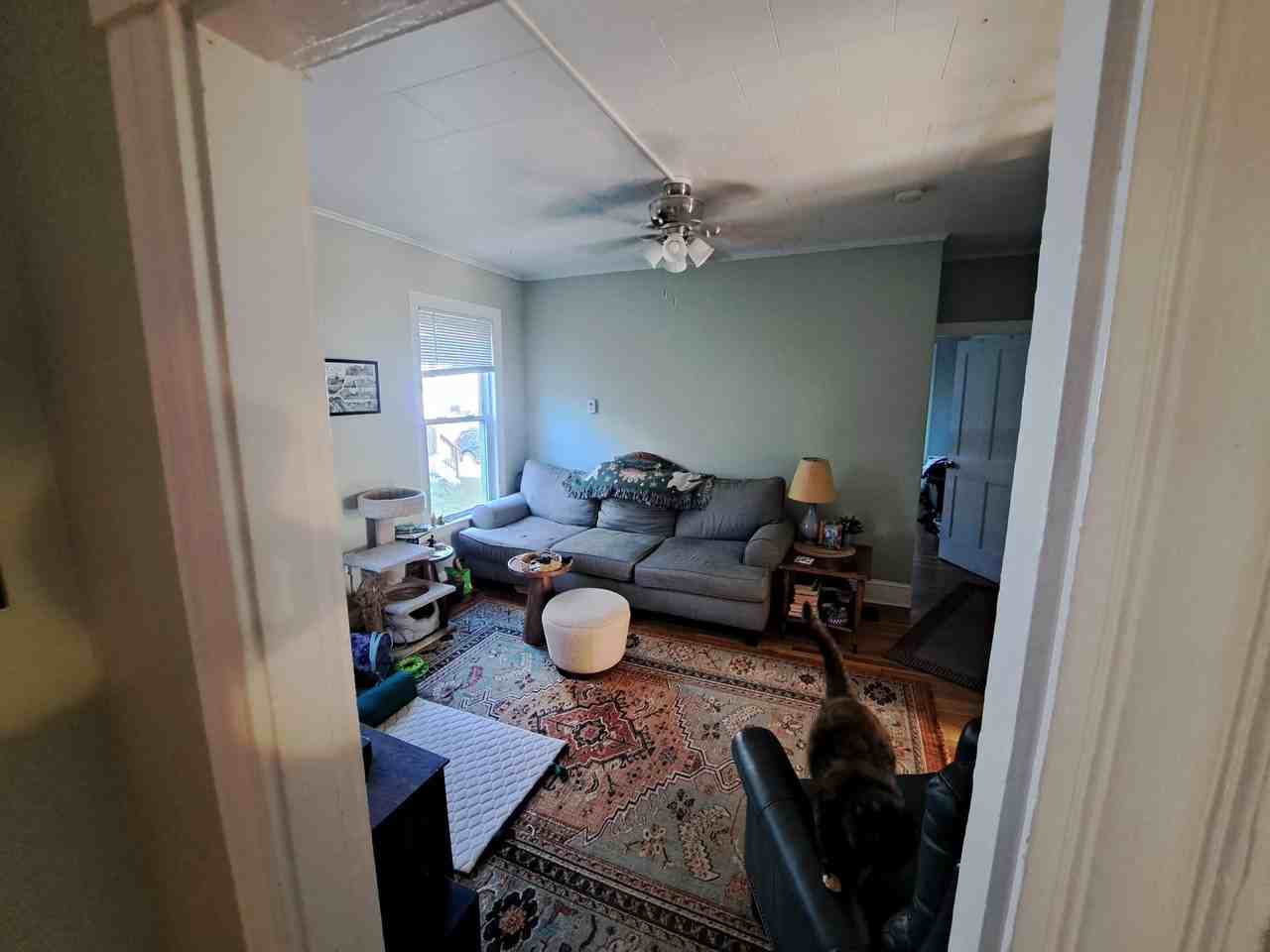 377 Pearl St #1 - Photo 4 of 19