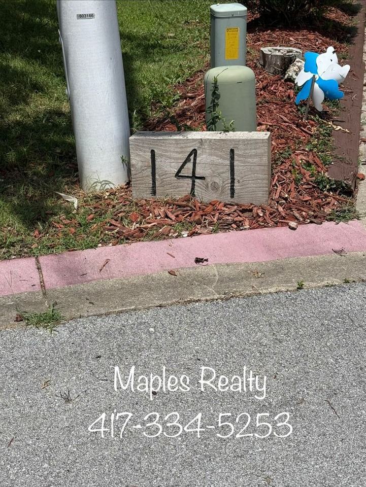 141 Scotch Pine Ct - Photo 2 of 36