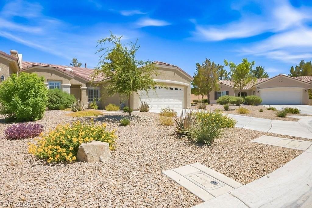2517 Springville Way