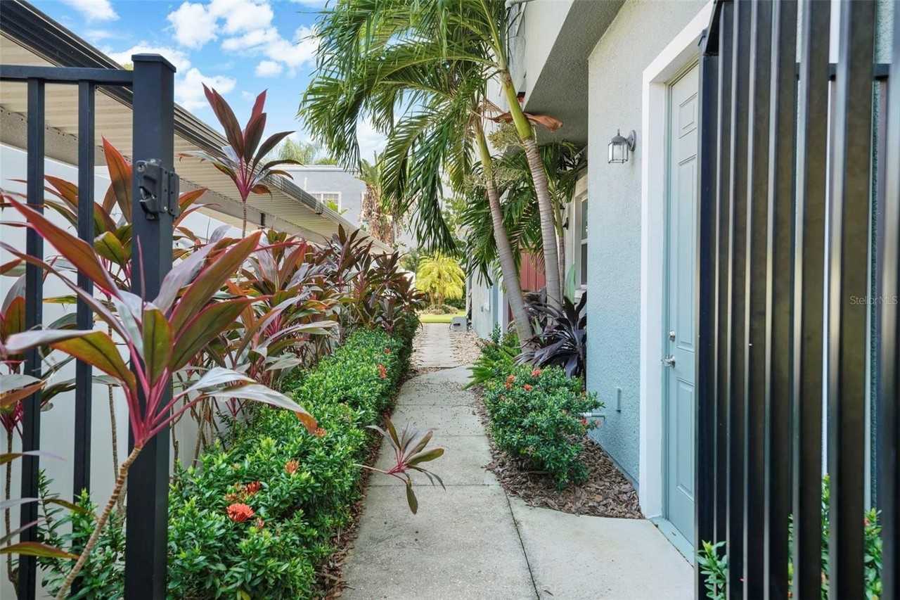 214 S Habana Ave #1 - Photo 3 of 48