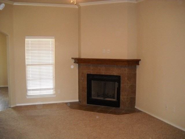 5626 Cinderella Ln - Photo 2 of 14