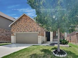 featured image of 1607 Crown Daisy