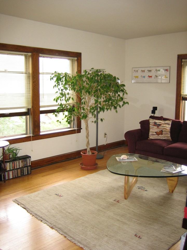 894 Grand Ave - Photo 2 of 18