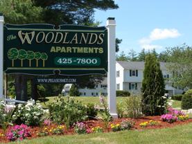The Woodlands - Photo 1 of 1