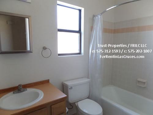 5499 Calle De Rosas - Photo 6 of 15