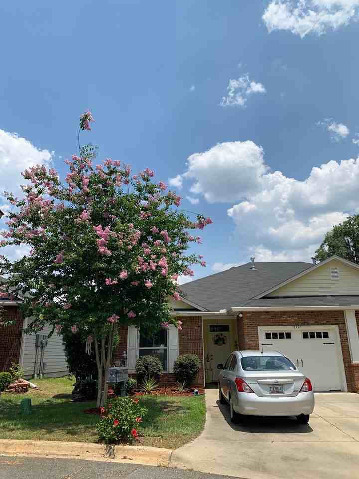 2901 Hampton Meadow Dr - Photo 2 of 36