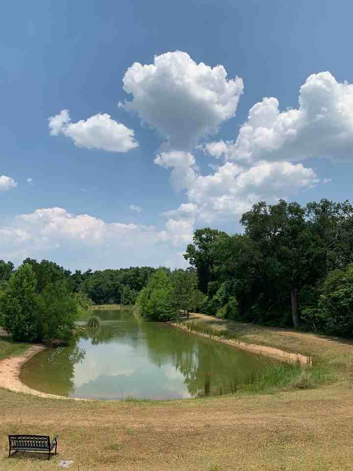 2901 Hampton Meadow Dr - Photo 3 of 36