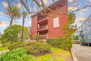 featured image of 33 Moss Ave