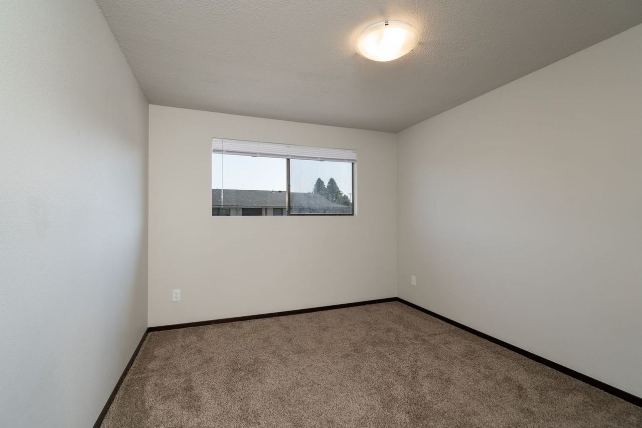 203 Lodean Dr Apt A - Photo 4 of 16