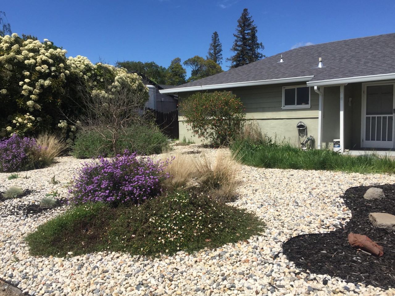 187 Agnes Way #NA - Photo 3 of 20