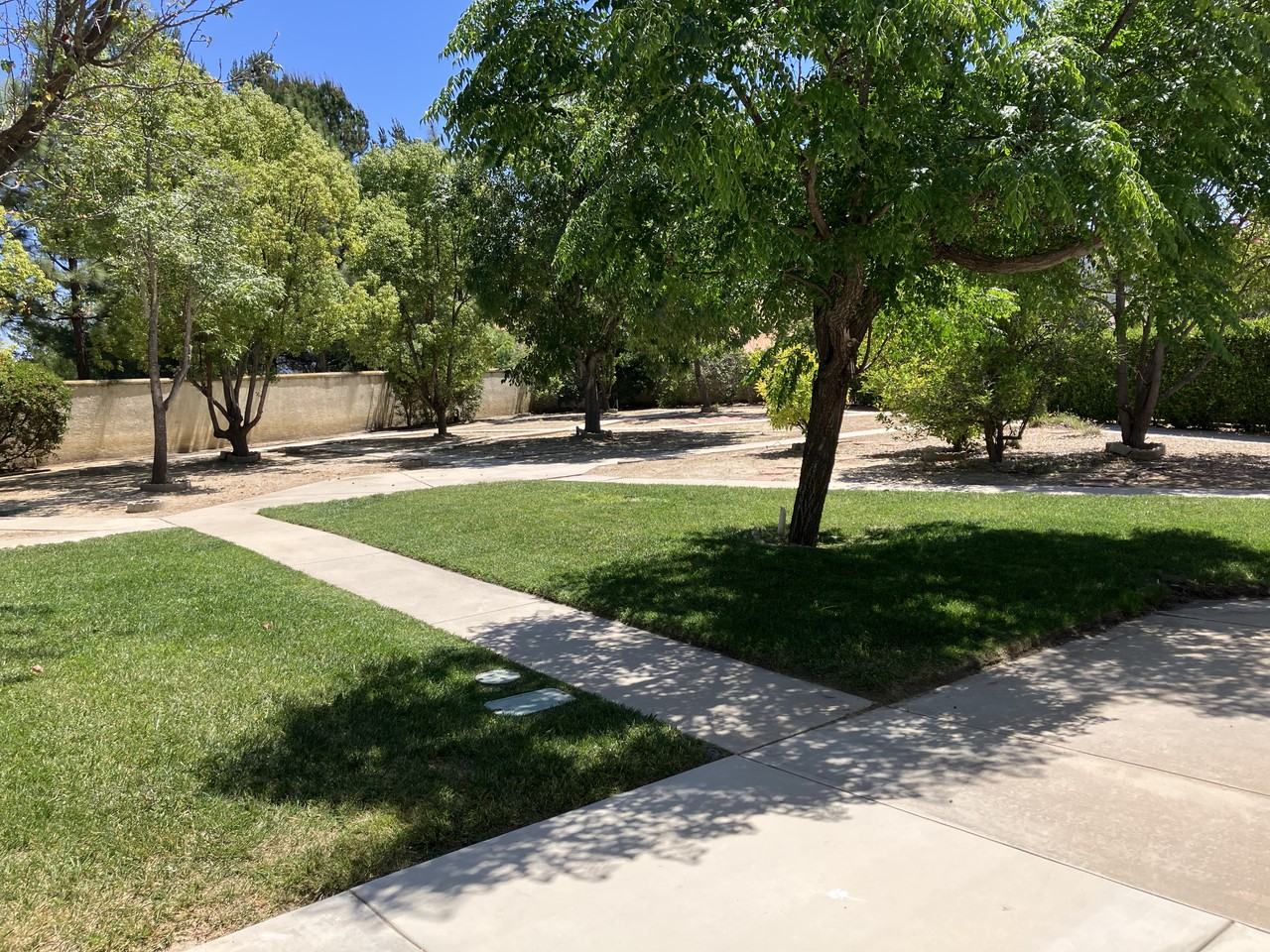 43553 Calle Nacido #NA - Photo 2 of 24