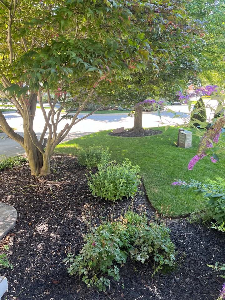 3393 Stanton Court - Photo 4 of 50