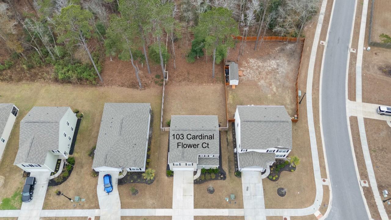 103 Cardinal Flower Ct - Photo 3 of 16
