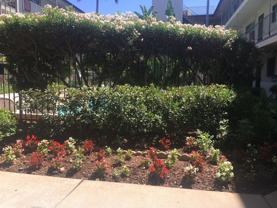 Beverly Wilcox Apartments - Photo 1 of 1