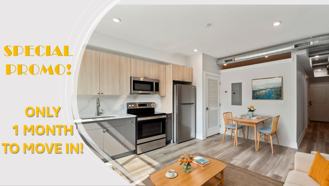 3824 Haverford - Photo 1 of 1