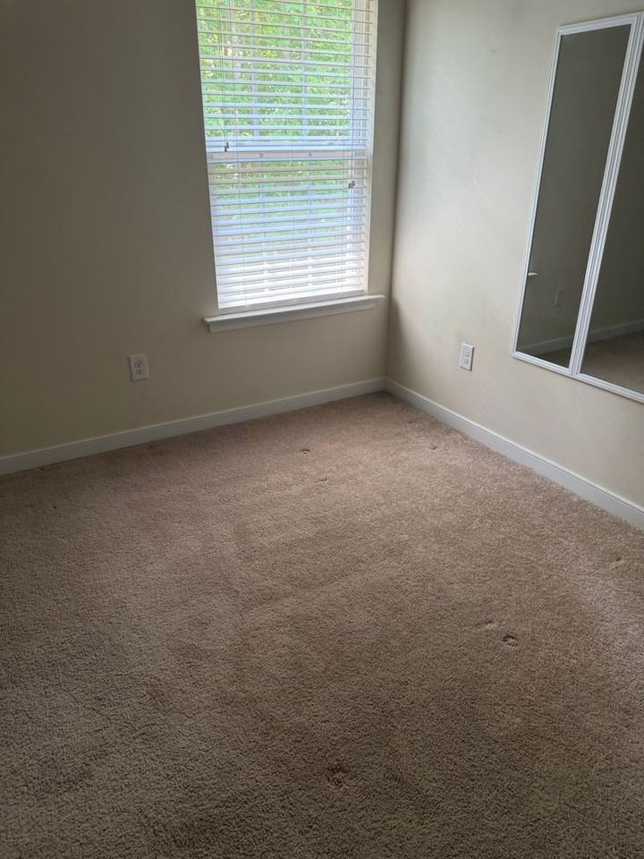 4307 Twisted Oak Dr - Photo 6 of 11