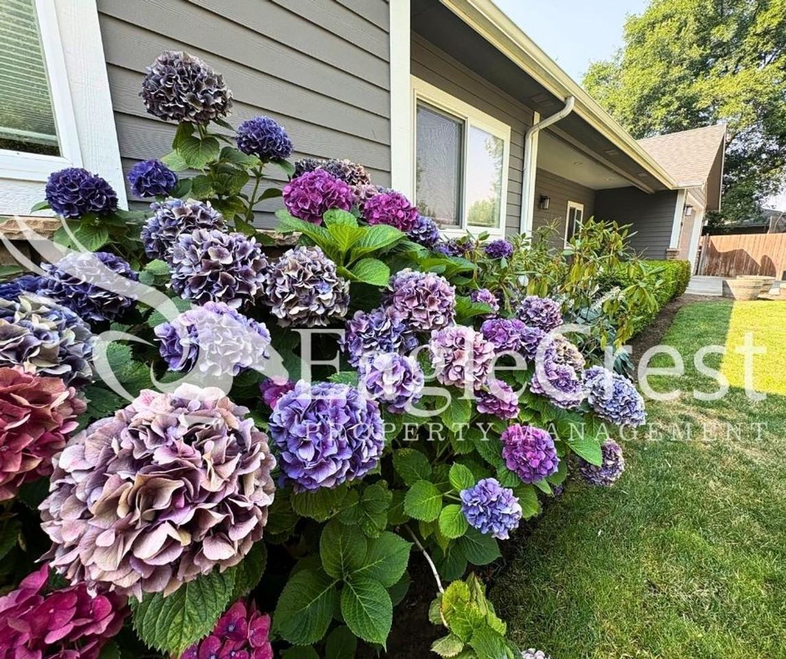 1855 Woodmere Loop - Photo 4 of 50