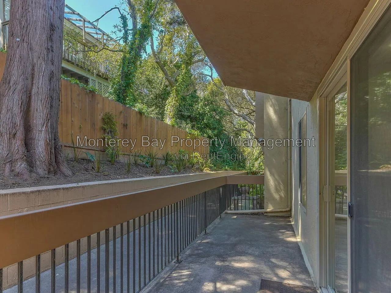 3103 Golden Oaks Ln - Photo 3 of 22
