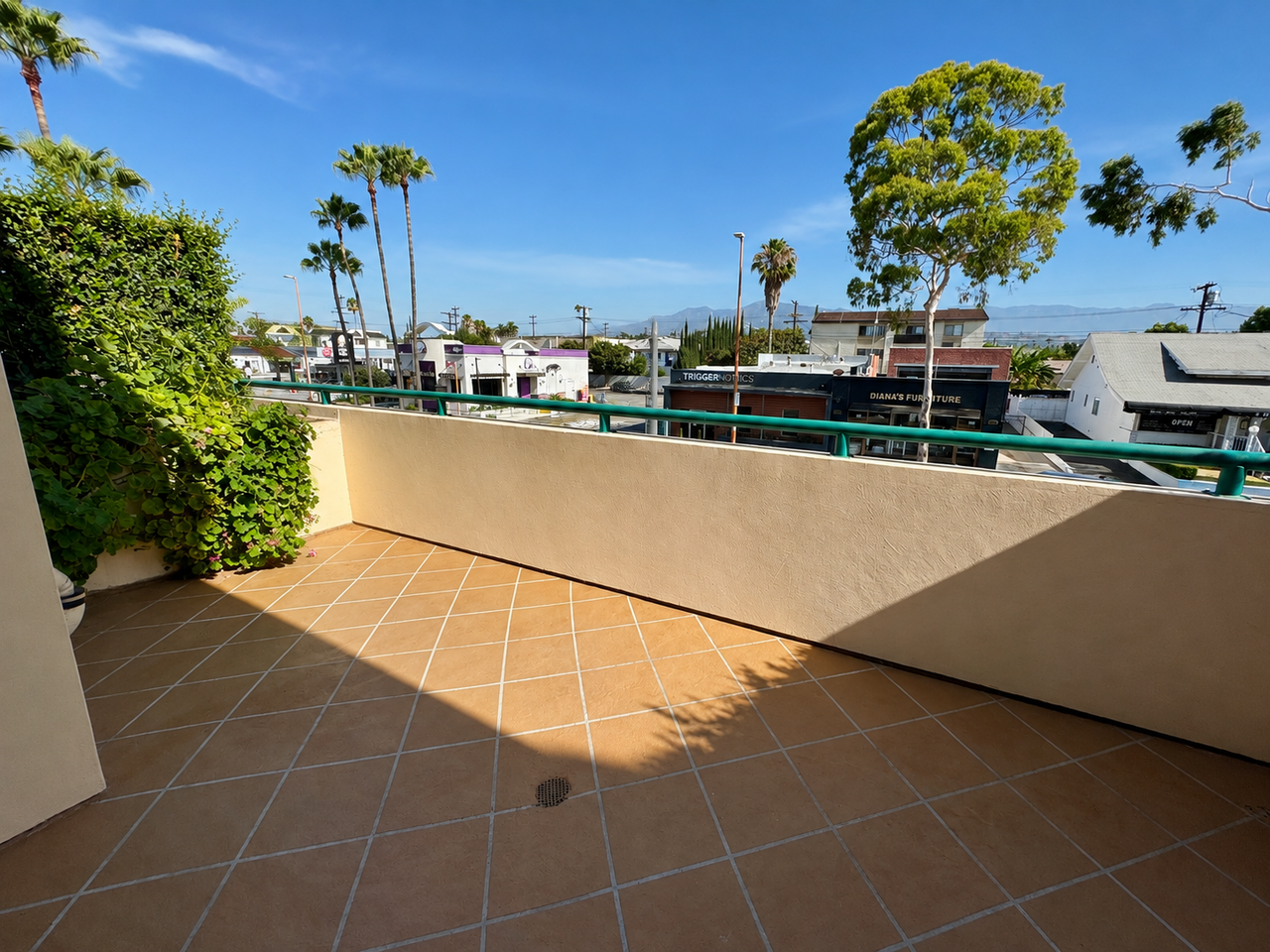 1130 E Colorado St #219 - Photo 5 of 25