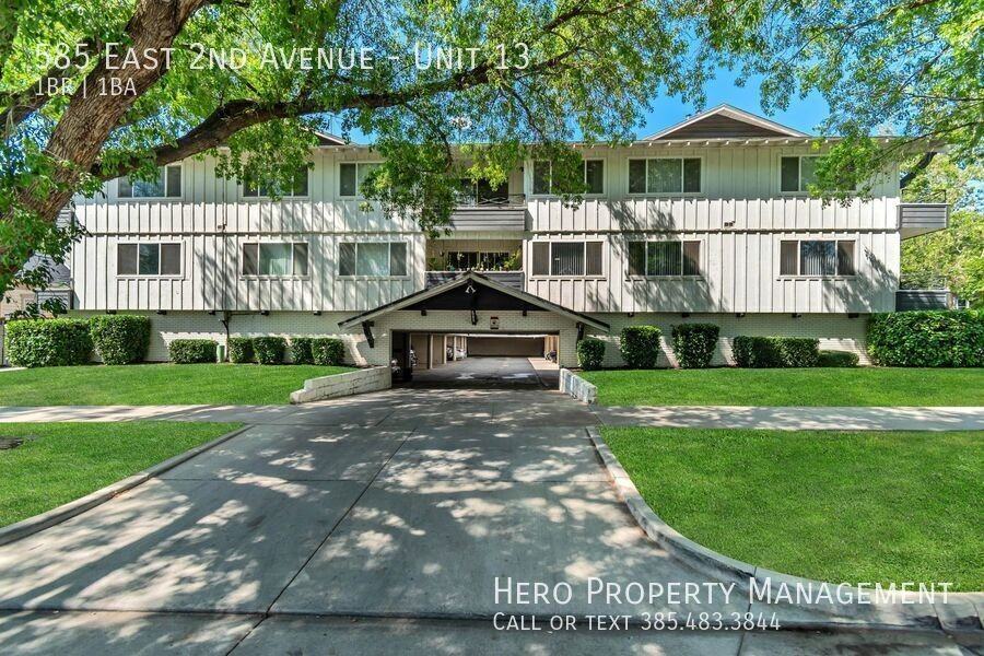 585 E 2nd Ave #13